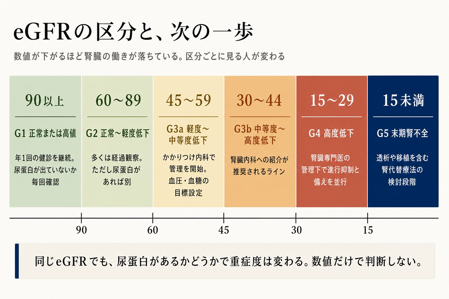 eGFRの区分の図。90以上はG1正常または高値、60から89はG2正常から軽度低下、45から59はG3a、30から44はG3bで腎臓内科への紹介が推奨されるライン、15から29はG4高度低下、15未満はG5末期腎不全