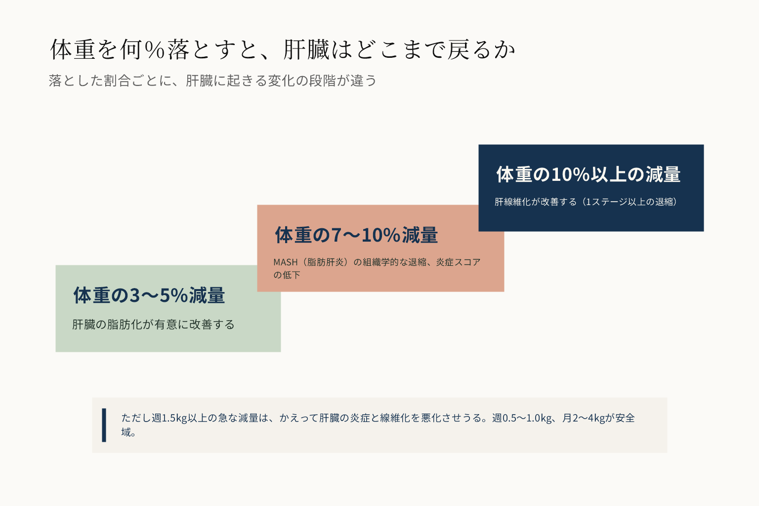 減量幅と脂肪肝の改善段階の図。体重の3から5パーセント減量で肝臓の脂肪化が改善、7から10パーセント減量でMASH脂肪肝炎の組織学的な退縮と炎症スコアの低下、10パーセント以上の減量で肝線維化が1ステージ以上改善