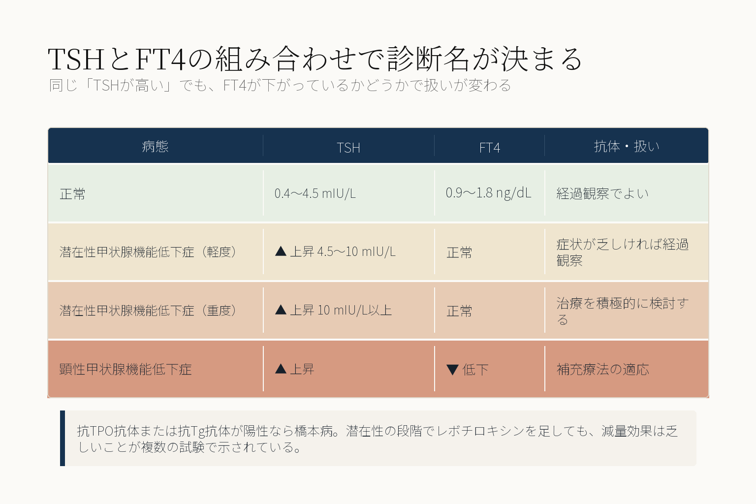 TSHとFT4の組み合わせによる甲状腺機能低下症の分類図。正常はTSH0.4から4.5でFT4が0.9から1.8、潜在性軽度はTSH4.5から10でFT4正常、潜在性重度はTSH10以上でFT4正常、顕性はTSH上昇でFT4低下