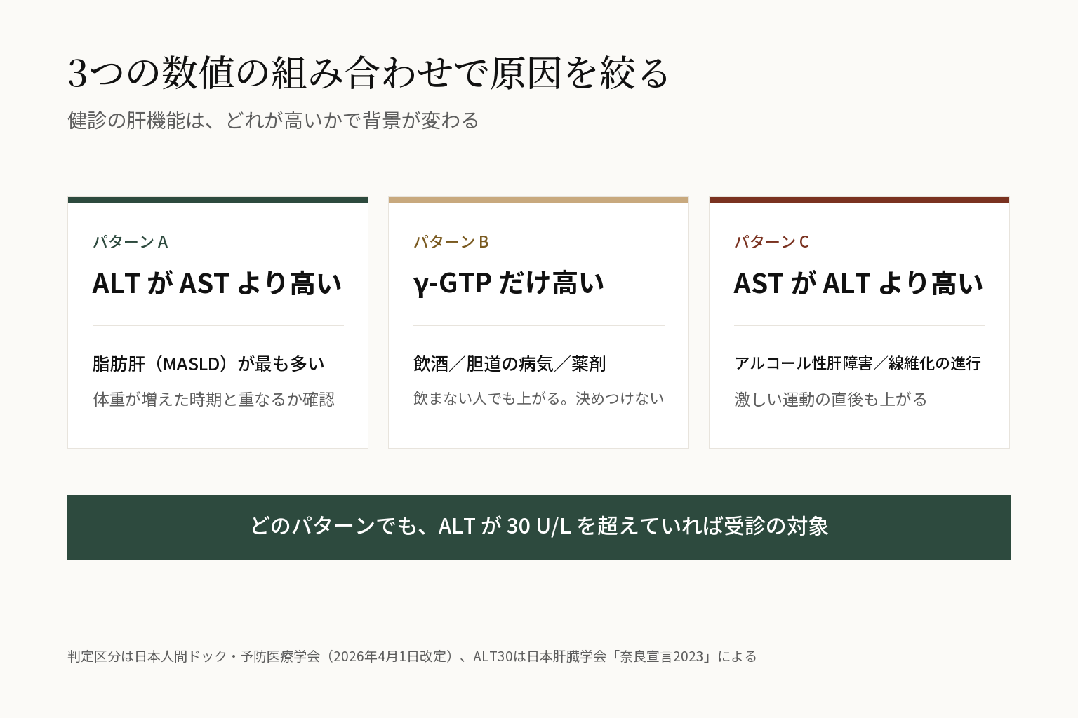 ALT・AST・γ-GTPの3つの数値の組み合わせから原因を絞る図。ALTがASTより高いALT優位は脂肪肝（MASLD）が最も多い、γ-GTPだけ突出は飲酒・胆道の病気・薬剤、ASTがALTより高いAST優位はアルコール性肝障害や線維化の進行と激しい運動の影響。どのパターンでもALTが30U/Lを超えていれば受診の対象