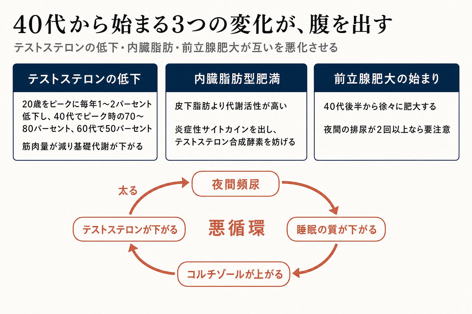 40代男性の3つの変化と悪循環の図。テストステロンは20歳をピークに毎年1から2パーセント低下し40代で70から80パーセント、内臓脂肪型肥満が炎症性サイトカインを出し、前立腺肥大が始まる。夜間頻尿から睡眠の質低下、コルチゾール上昇、テストステロン低下、太るの悪循環